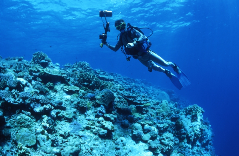 Brad over reef-Palau