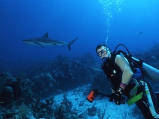 Blacktip reef sharks & Brad-Exumas