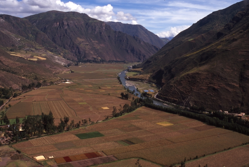 Cultivated fields Urubamba Valley-Peru