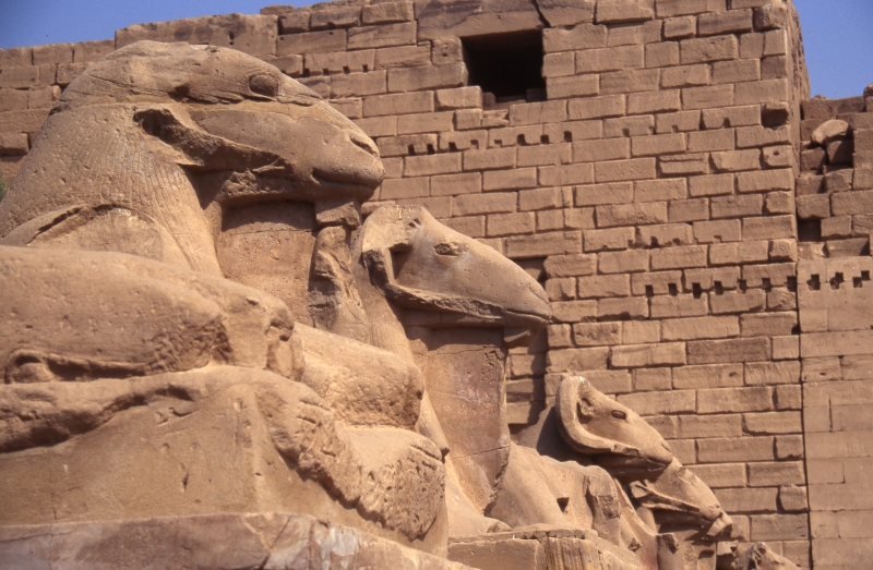 Ram-headed sphinxes-Karnak, Egypt