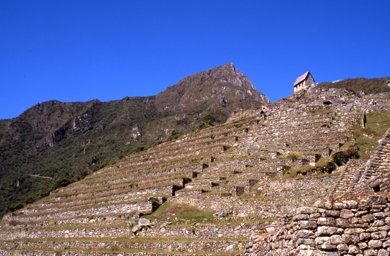Terraced agricultural zone & Watchman's Hut-Machu Picchu
