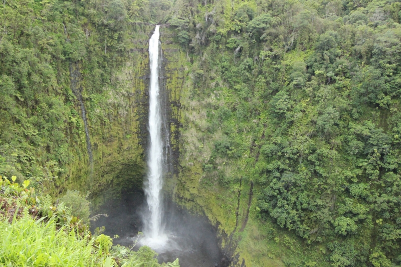 Akaka Falls (dig)-Hawaii