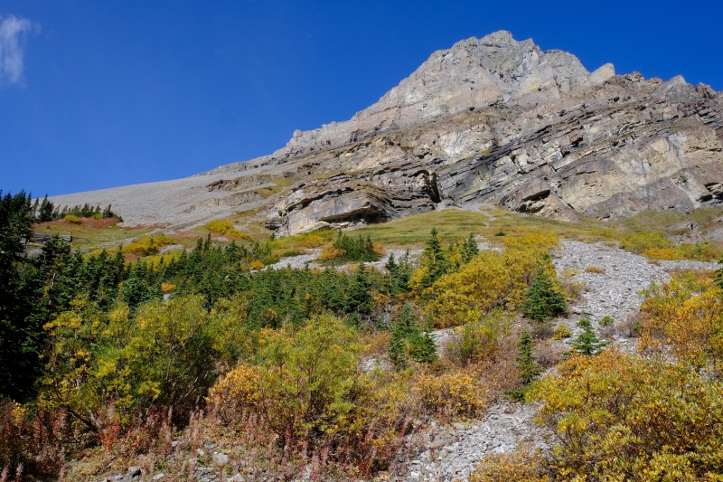 Bourgeau rocky slope-Banff