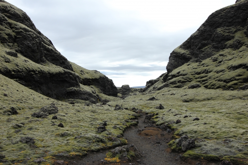 Lakagigur, Tjarnargigur crater with moss (dig)-Iceland