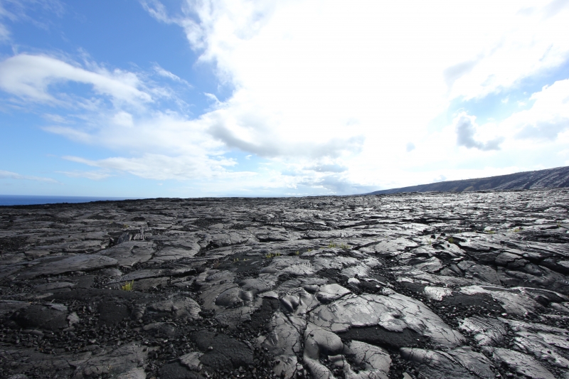 Lava field (dig)-Chain Of Craters Road, Hawaii