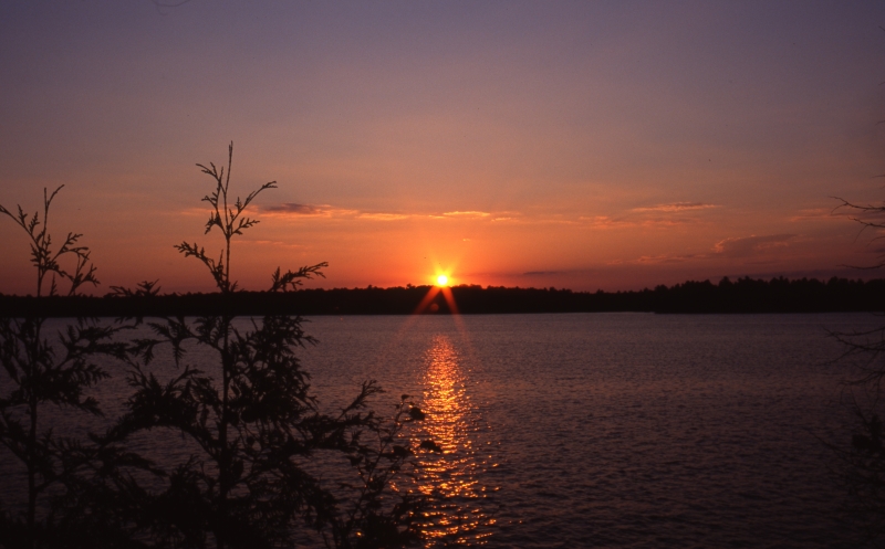 Ontario lake at sunset