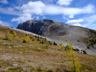 Bourgeau larches-Banff