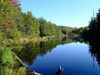 Marsh, Centennial Ridges-Algonquin Park