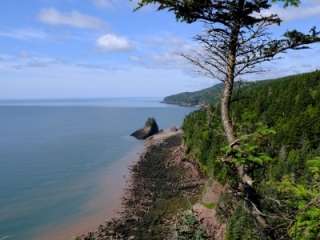 Matthews Head & Coastal Trail West-Fundy Bay National Park