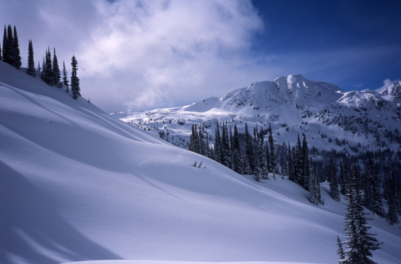 Selkirk Mountains-Great Northern Snow-Cat Skiing