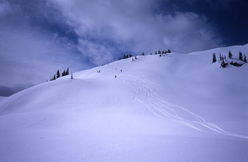 Selkirk Mountains slope-Great Northern Snow-Cat Skiing
