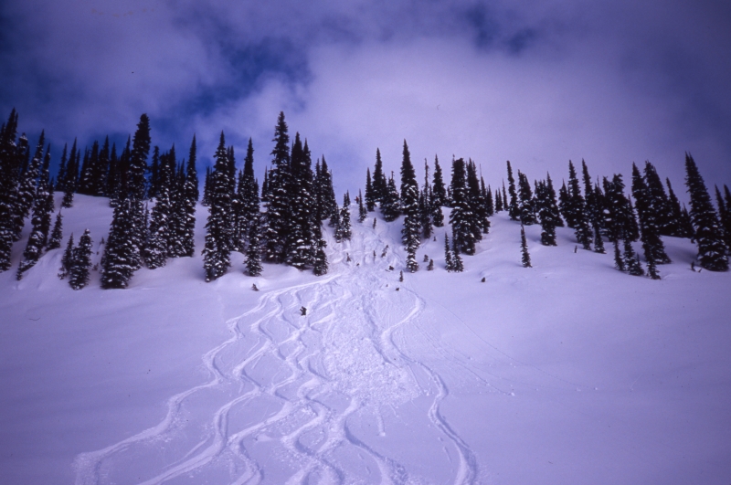 Ski tracks at Great Northern-Selkirk Mountains