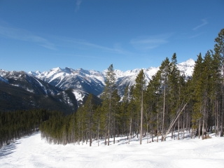 Bending ski trail-Panorama, B.C.