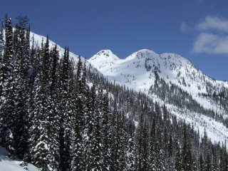 Great Northern slope (dig)-Trout Lake, British Columbia