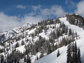 Ski slope-Jackson Hole, Wyoming