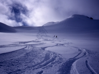 Tracks at Tyax Lodge Heli-Skiing-Chilcotin Mountains