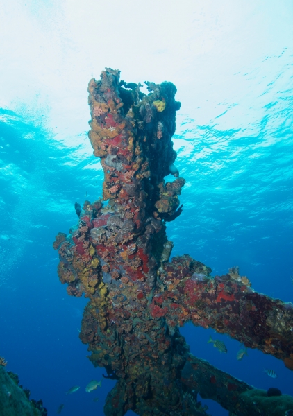 Coral encrusted structure, Wreck Alley-BVI